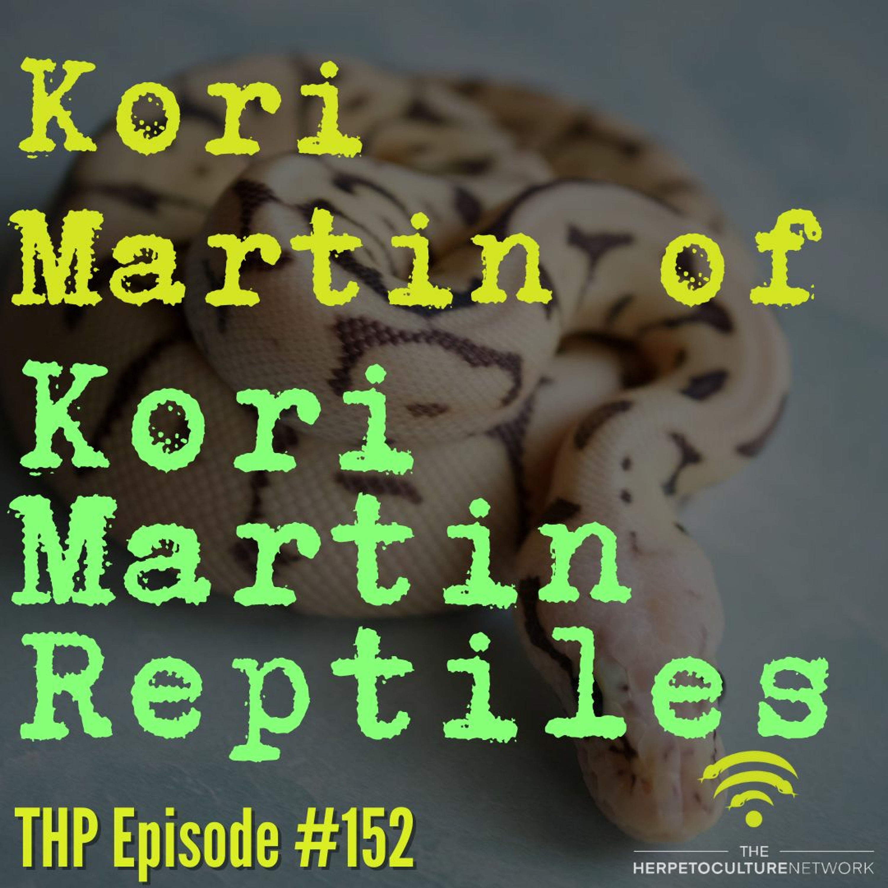 Kori Martin of Kori Martin Reptiles