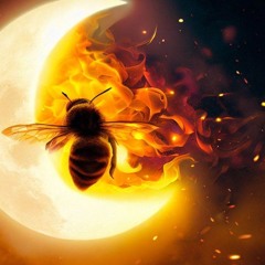 Jono-bee … LEGEND 🐝