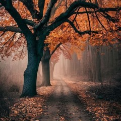 19 Autumn '24