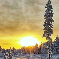 Full som ett as