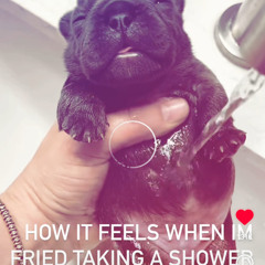 run w1th th3 w01v35 w/keziah