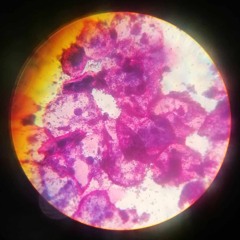 LUZIKA - Pirate Mix (Teaser)