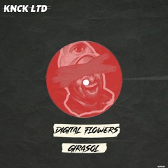 PREMIERE: Digital Flowers - Girasol (Original Mix) [KNCK LTD]