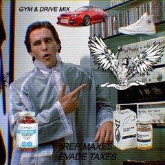 GYM AND DRIVE MIX II BY SIEGMUND SCHULZ