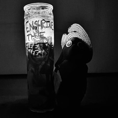 Siphonophore