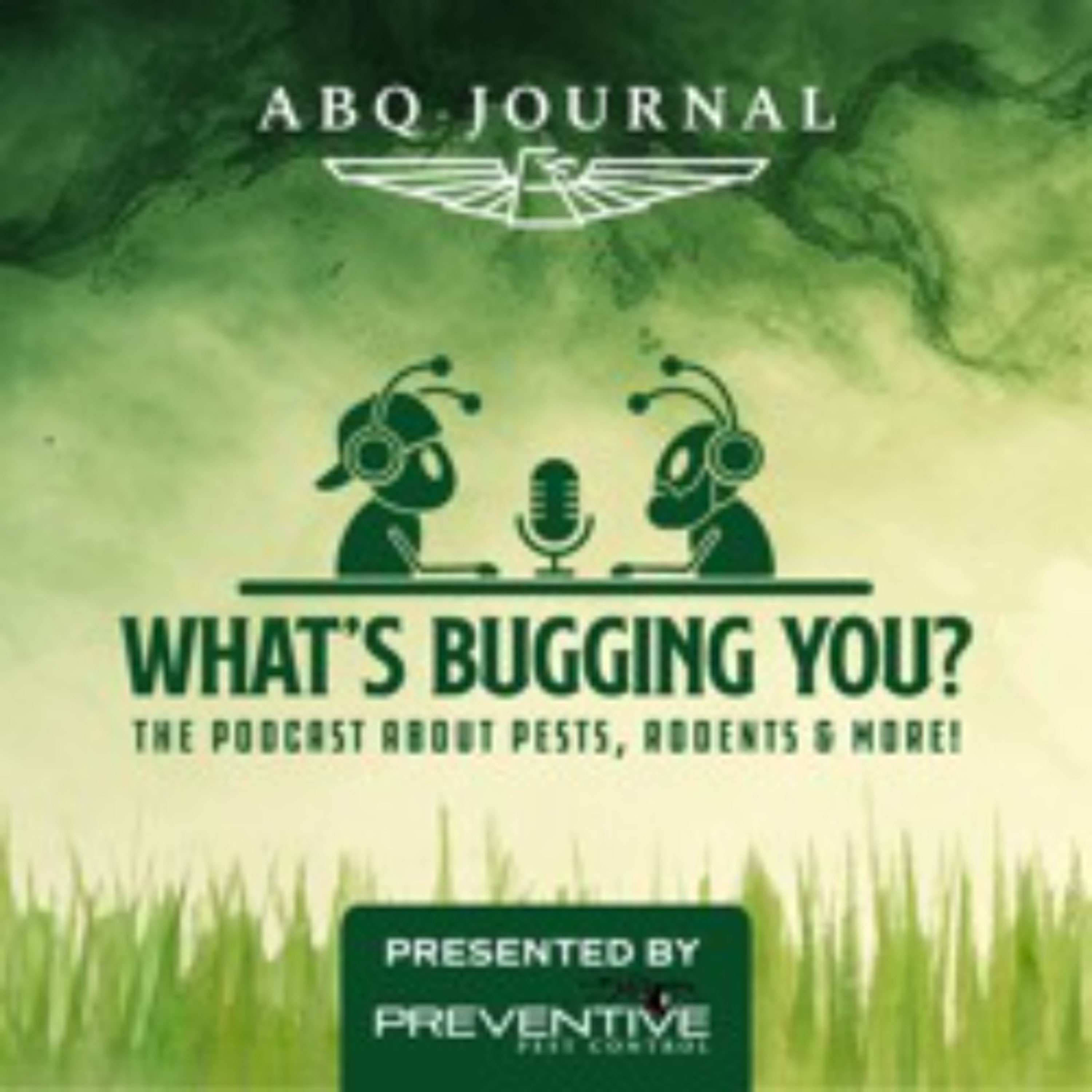 What's Bugging You? Ep. 3 w/Allan Foyer: Termites episode artwork