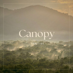Canopy