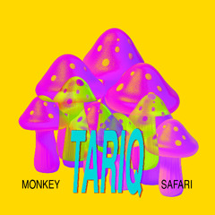 Premiere: Monkey Safari - Tariq [Good Vibes From Paradise]