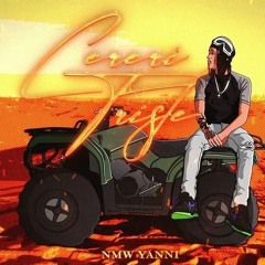 NMW Yanni - Cereri Triste