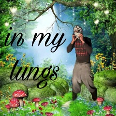 in my lungs