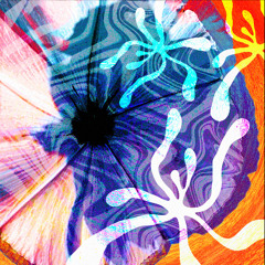 I Want Your Love - The Melody (Lello Edit)