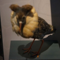 jamuary day 13 - tired af