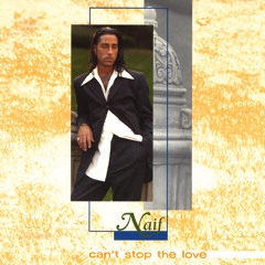 Can't Stop the Love (Radio Edit)