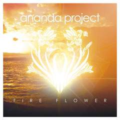 Ananda Project - Where The Music Takes You (Extended Mix)
