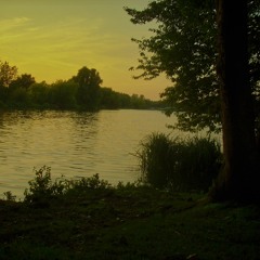 stratford adrenaline