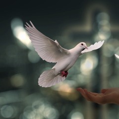 Frieden Ist Stärker Schmeißt Die Kriegstreiber Raus