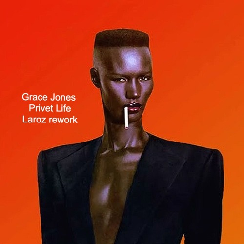 ○レアプロモ盤！Grace Jones / Private Life Sampl Grace Jones