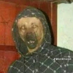 Döndi Duó 2022  Hol van aza lány