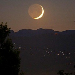 Kalamesque - Alwahdah  Bassam Nabeel