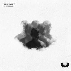 Bushbaby - In The Back