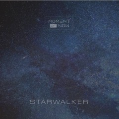 Moment Of Now - Starwalker (Mindloader 165 Edit)