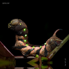 James Harbrecht - Incantation [SS7.017EP] - Free DL