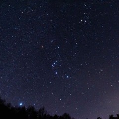 Orion demo