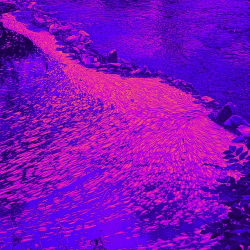 Bloom/Bling by Ilgrim