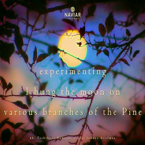 Experimenting [naviarhaiku391 ]