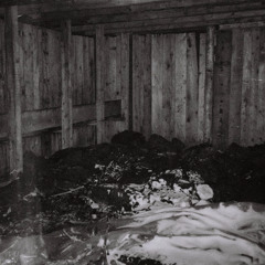 Per Capita (Live at Noisegarden)