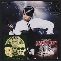 She's a bitch X Jealousy X Ijager Mix By MamaLeaa