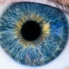 Do You See Anything?