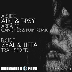 Area 13