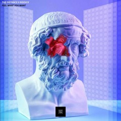 The Distance & Riddick - Feel What You Want