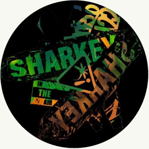 [PREMIERE] Sharkey - In The Air