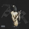 SaintPrince 52 — AR