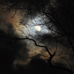 From Darkness to Light