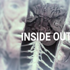 InsideOut (VocalMix Feat. STUBBLE)