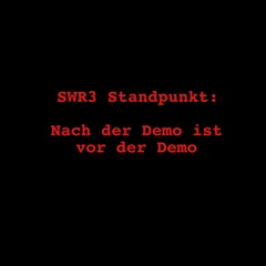 SWR3 Standpunkt: Nach Der Demo Ist Vor Der Demo.MP3