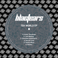 BlacTears - Frozen Teardrops (Original Mix)