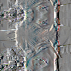 Wild Stuff