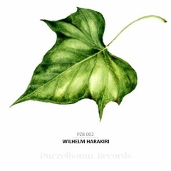 Wilhelm Harakiri - You Knew What Matters