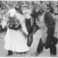 twomonkeysinlove (demo)