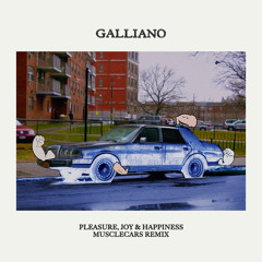 Pleasure, Joy & Happiness (musclecars remix instrumental)