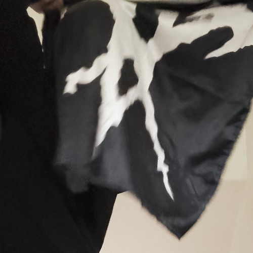 TTD2k25 ft. K!su Pastel Svleh L0ved Tanner (Prod. PercShawty)