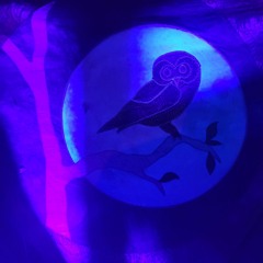 Autonater - Owl Farm 2024 - Saturday Night