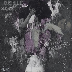 the less i know the better w/ seishin (rainn god)