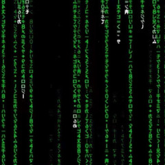 june bune x valorr - matrix