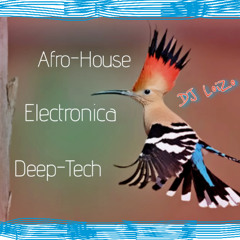 DJ LoiZo - 15# VersatiLe Selecta