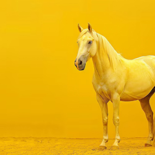 Horses (p.1ntcart)